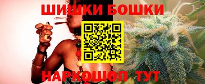крисы Кулебаки