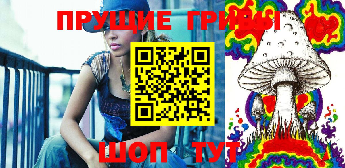 Южноуральск  Псилоцибиновые грибы Psilocybe  Вход с VPN 